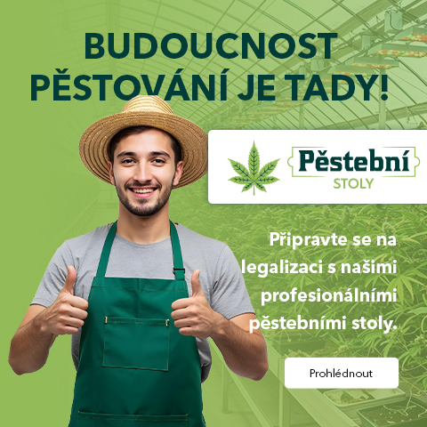 Budoucnost je tady